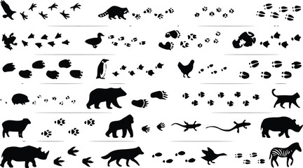 Obraz premium Black silhouettes of various wild animals and birds accompanied by their unique footprints and tracks for nature education and wildlife design projects