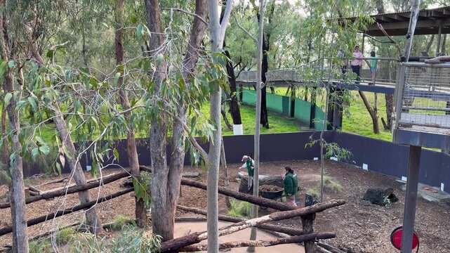 Zookeeper Raking Mulch in a Large Outdoor Animal Enclosure