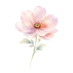 Obraz premium Delicate watercolor flower with soft pink petals and green leaves.