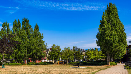 Fototapeta premium Osprey Village Waterfront Park, Fraser River and Residential Community in Pitt Meadows, British Columbia, Canada