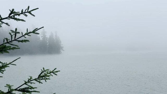 Strbske Pleso Mountain Lake Slovakia

Misty morning view across Strbske Pleso mountain lake surrounded by dense alpine forest under low clouds, High Tatras, Slovakia, 20 July 2026.

