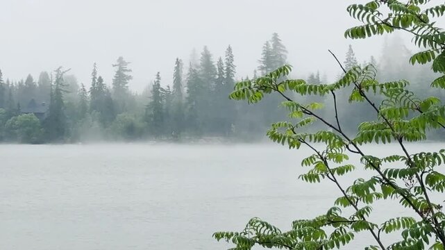 Strbske Pleso Mountain Lake Slovakia

Misty morning view across Strbske Pleso mountain lake surrounded by dense alpine forest under low clouds, High Tatras, Slovakia, 20 July 2026.

