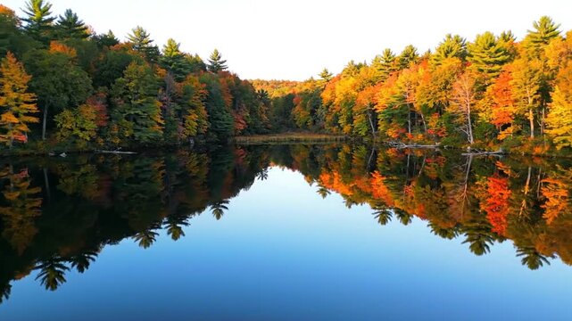 Autumnal Serenity: A calm lake perfectly mirrors the vibrant autumn foliage of trees lining its banks, creating a breathtaking scene of natural beauty and seasonal change.