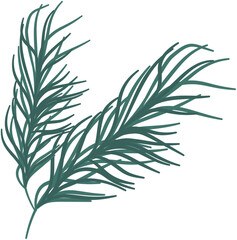 Fototapeta premium Isolated Green Pine or Fir Branch Illustration. Stylized Conifer Sprig with Needles for Holiday and Nature Designs.