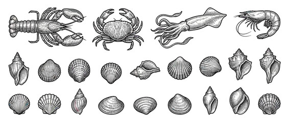 Hand-Drawn Seafood and Shells Collection © emal