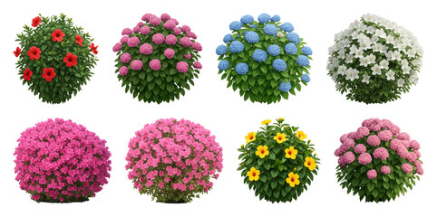 Obraz premium PNG Vibrant blooming flower bushes collection on transparent background