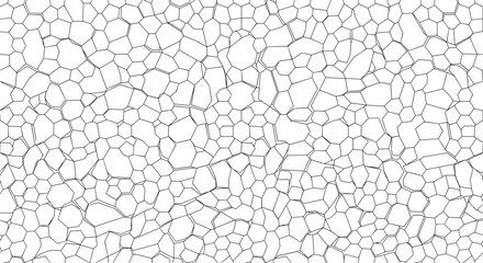 Abstract Voronoi Polygon Seamless Pattern with Irregular Geometric Line Art Vector Background © MdAfzal