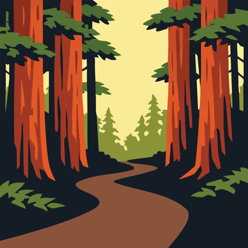 Winding dirt path through a tall redwood forest at sunset Vector, illustration Ai Generated