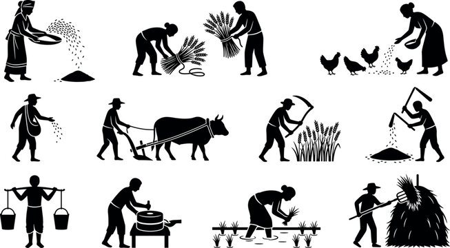 Traditional agriculture icon set with farmers harvesting crops plowing fields feeding chickens and milling grain in black silhouette vector style