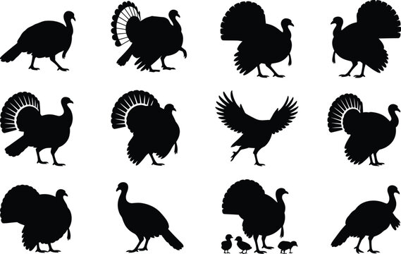 Collection of various turkey poses displayed in a clean black and white graphic design style silhouette