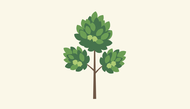 Symmetric green hazelnut tree with branches, leaves, and visible hazelnut clusters, on a solid light cream background.