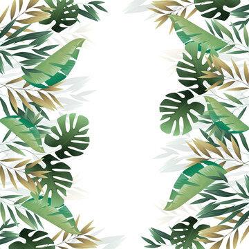 Tropical Plant
