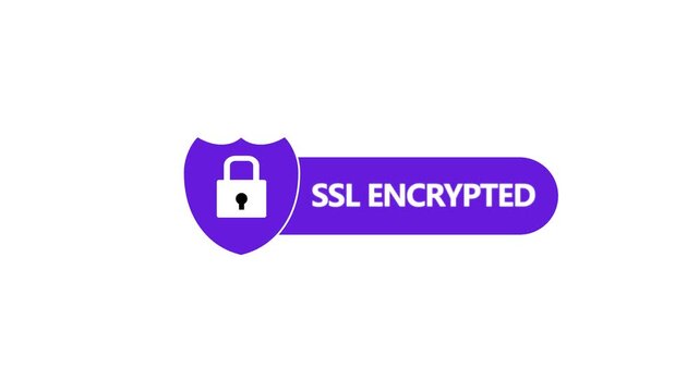 SSL Encrypted Badge Animation Purple Shield Padlock Security Icon Loop Isolated on White Background Motion Graphic
