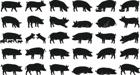 Pig silhouette collection featuring adult pigs and piglets in diverse poses including standing, walking, eating, sleeping, and nursing © Rubina
