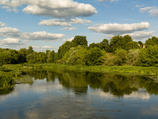 Fototapeta premium Wide Serene River View with Green Forest Banks and Sky