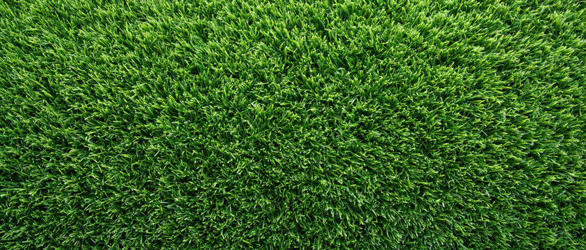 Green grass texture top down view overhead view lush lawn natural pattern dense turf fresh green plant background outdoor surface macro texture