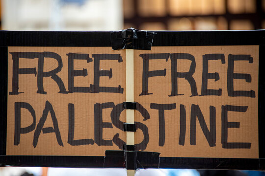 Political Sign for Palestine State