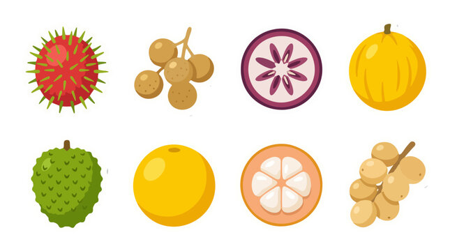 Vector sticker set of tropical exotic fruits including rambutan soursop mangosteen and longan