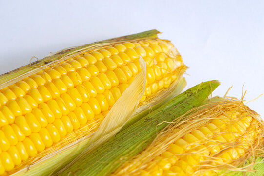 corn on a white background
