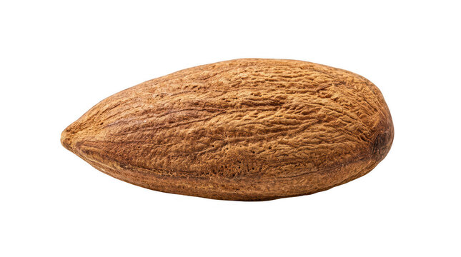 Closeup of a single brown almond nut on white background transparent background
