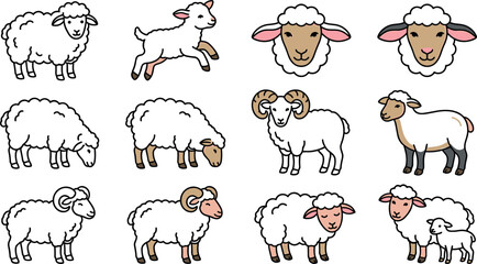 Pastoral Sheep and Lamb Vector Icon Set with Fluffy Ewes, Horned Rams, and Cute Baby Animals for Wool Production and Children Nursery Designs © MstRAJIA
