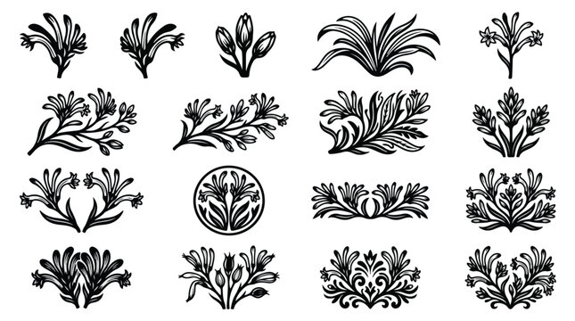Vintage floral ornaments set, black hand drawn botanical vector elements, decorative flower silhouettes for wedding invitations and branding