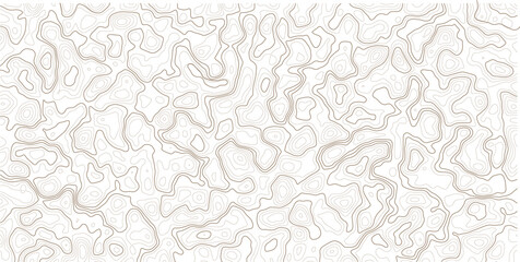 Fototapeta premium Abstract topographic map lines pattern design for creative projects and backgrounds