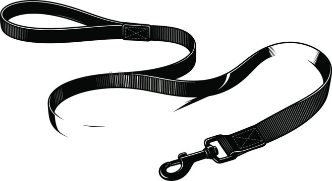 Black braided dog leash with metal carabiner