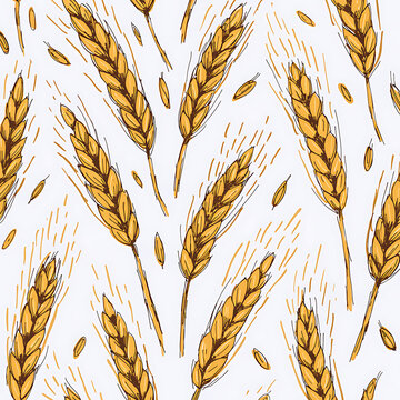 golden wheat background