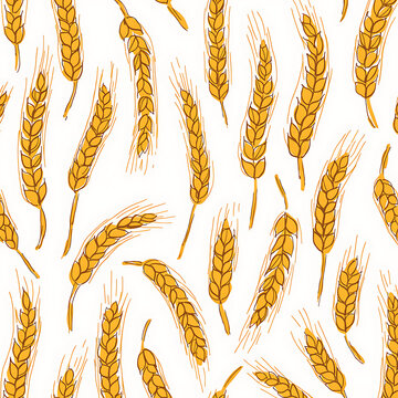 wheat vector illustration