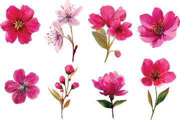 Fototapeta premium set of pink flowers