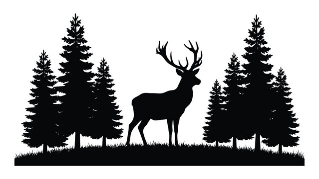 Stag stands majestically within a dense pine forest silhouette on a white background.