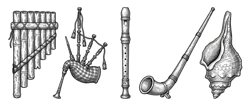 Collection of Antique Wind Instruments and Seashell