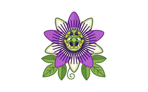 Passion Flower Flat Design Vector Illustration