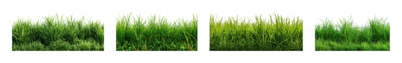 Obraz premium PNG Lush green grass borders for design projects, transparent background