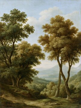 Beautiful Serene Forest Valley Landscape