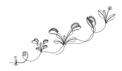 Title: Minimal Continuous Line Venus Flytrap Botanical Illustration with Multiple Trap Growth Stages © Yeasin