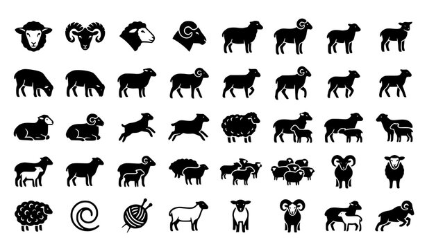 Sheep and Ram Black White Silhouette Icon Collection Featuring Lamb Ewe Wool and Farm Livestock Animals