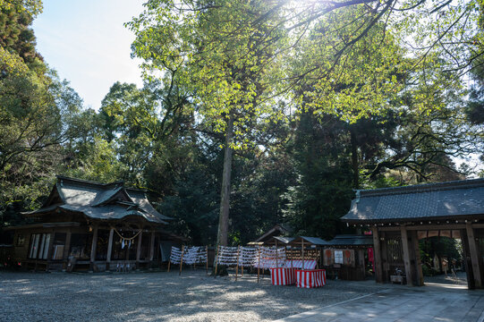 都農神社