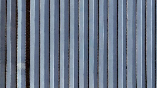 Straight down forward flight over repeating rows of plastic greenhouse tunnels creating a stark abstract pattern of parallel lines and textures from above