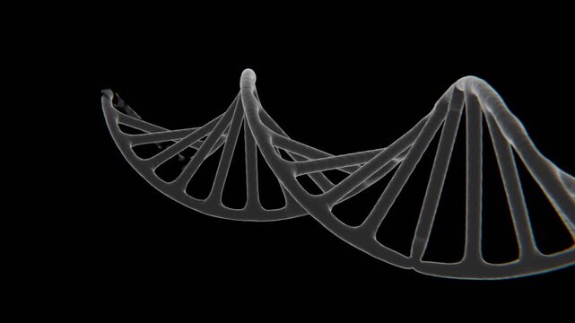 DNA structure formation Xray video | Dna helix structure formation video