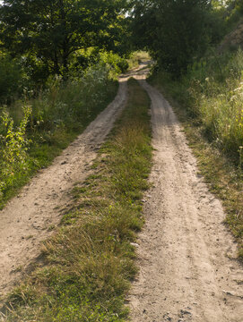 Sandy Dirt Trail Going Uphill Through Green Forested Hills