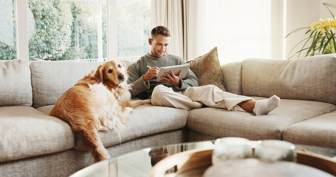 Relax, tablet and man with dog on sofa for bonding, online project and web design for remote work. Freelancer, happy and person with tech, research and Labrador for break, love and website in home