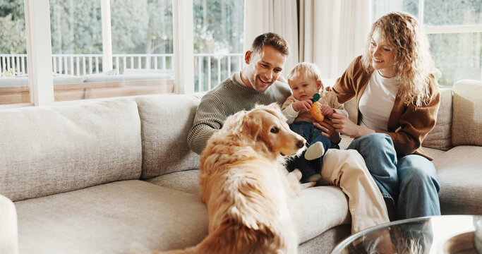 Parents, baby and dog with smile on couch for care, play and love for bonding or connection in home. Father, mother and child in living room for pet animal, stroke and relax on sofa at family house