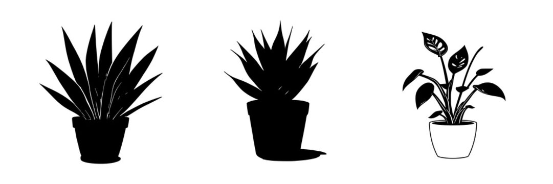Snake plant set with minimalist terracotta pot illustration featuring bold outlines, white background, and indoor garden design
