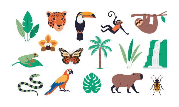 Tropical Rainforest Wildlife Collection.