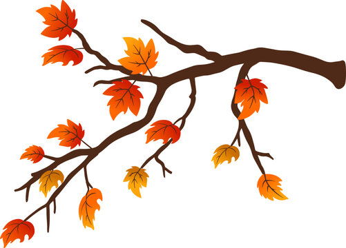 Autumn Oak Branch with Leaves Graphic Element