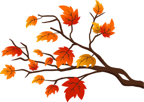 autumn maple tree branch Illustration