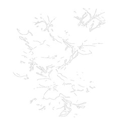 Fototapeta premium Twisting flowering tree branch illustration on transparent background