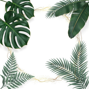 Tropical leaves frame border with golden decorative lines tropical monstera botanical background decoration luxurious invitation template illustration isolated minimalist ornamental